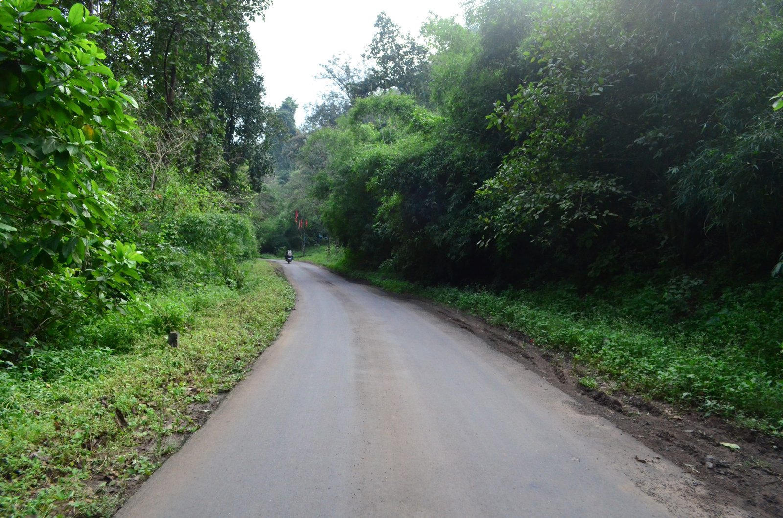 Anjan & Padmadungari