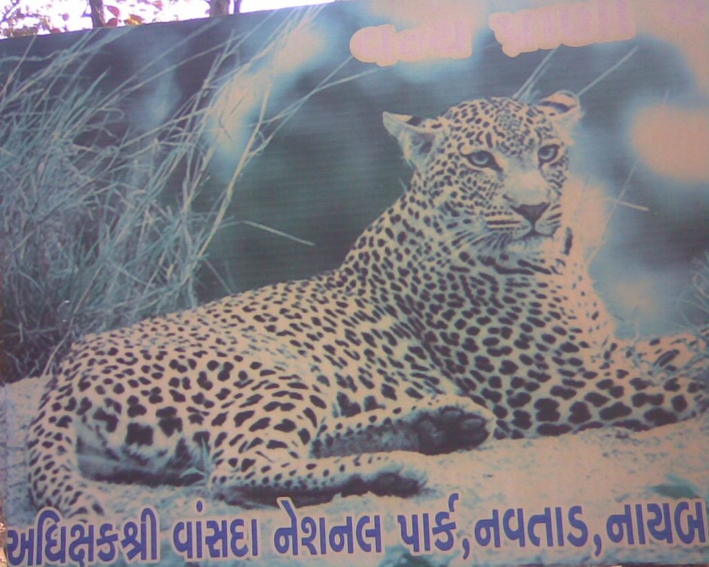 About, Gujarat