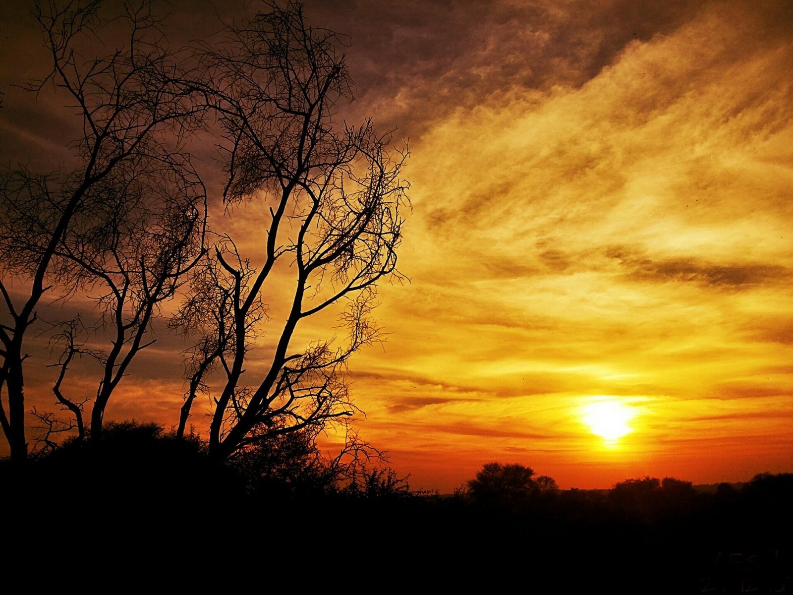 Rural Botad