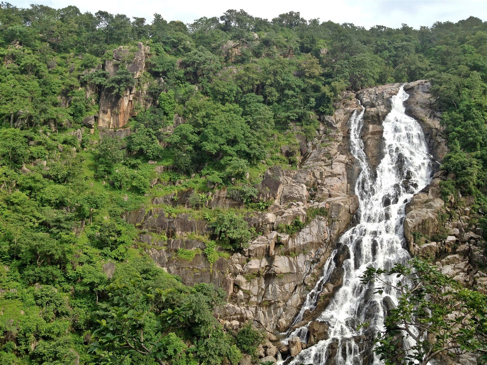 Machan Eco-Camp