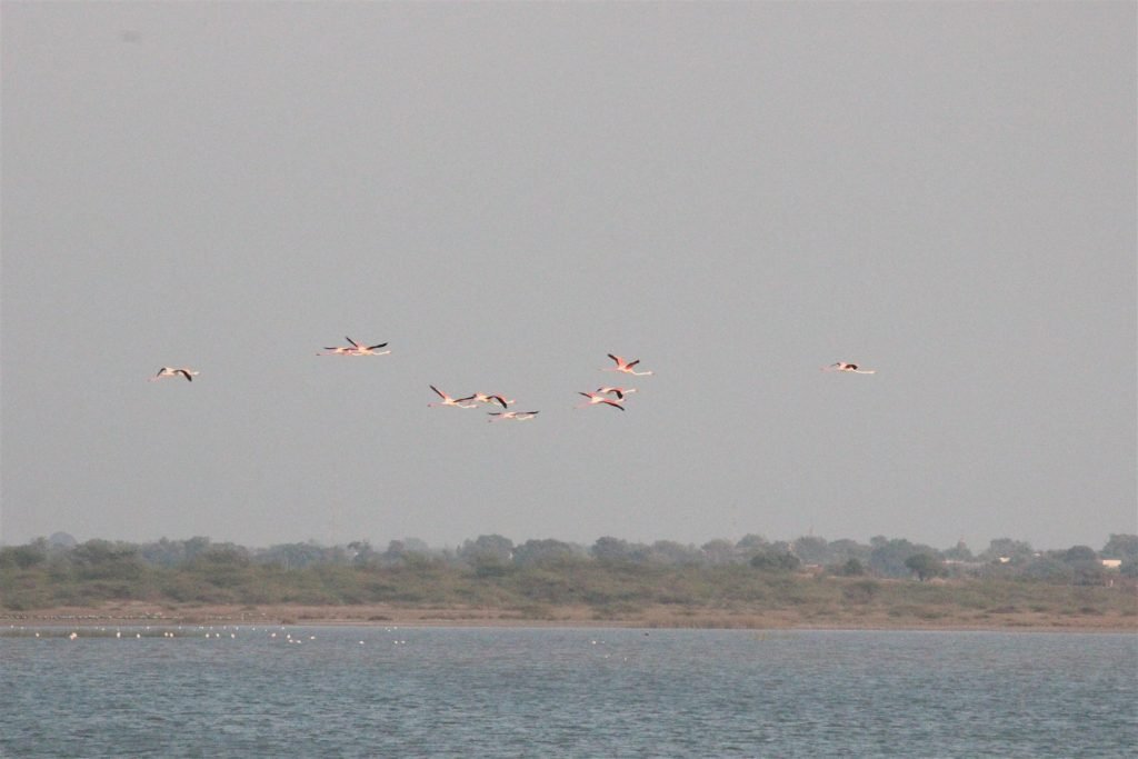 Hero, Gujarat
