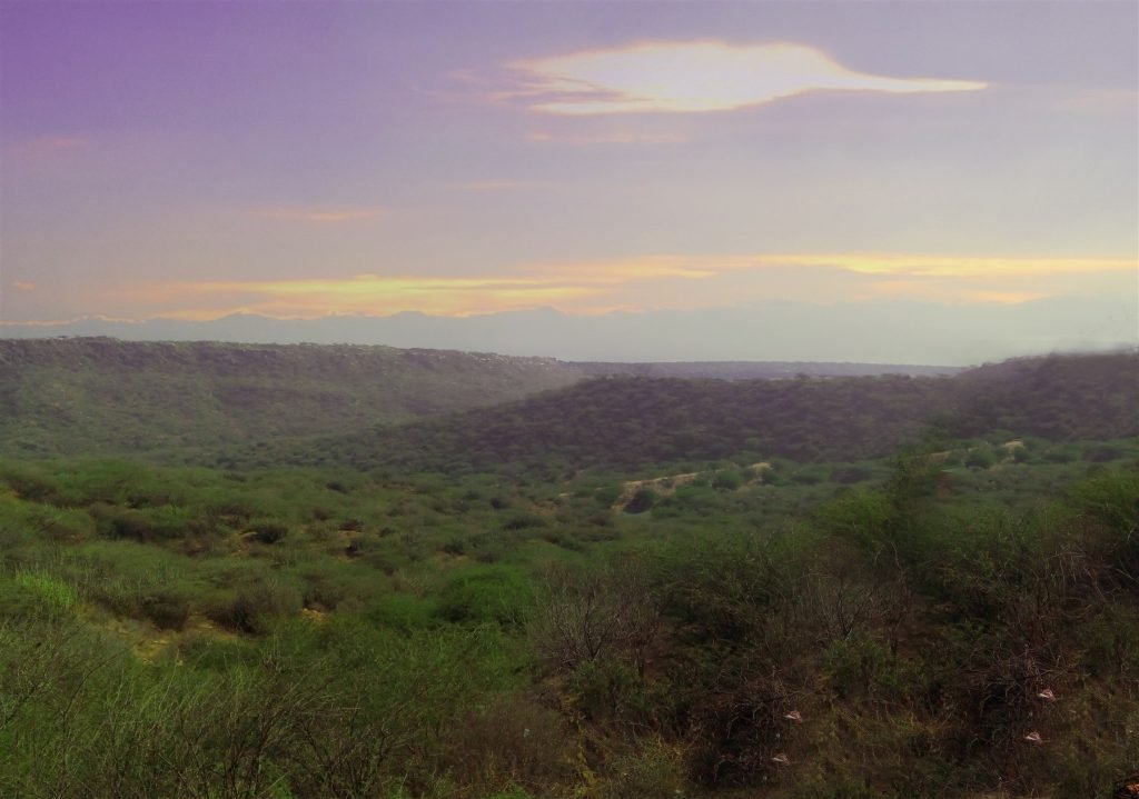 Hero, Gujarat