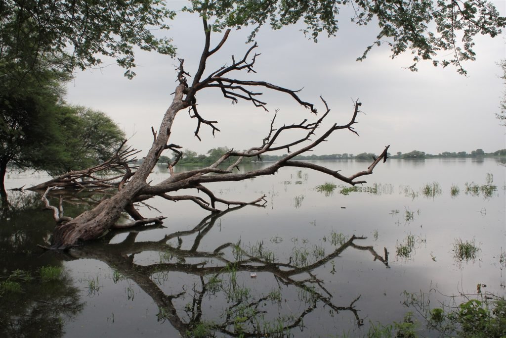 Hero, Gujarat
