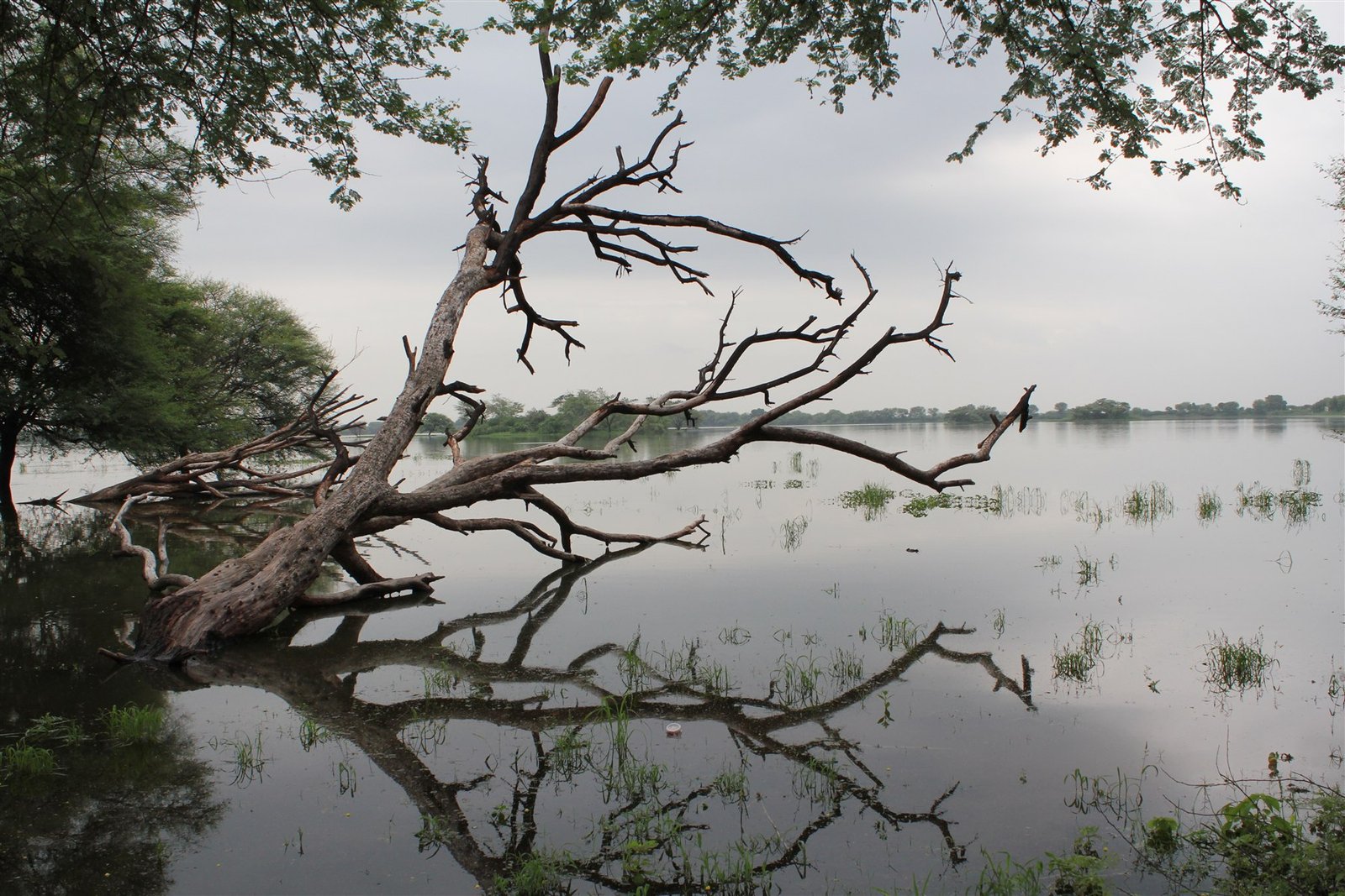Thol Lake