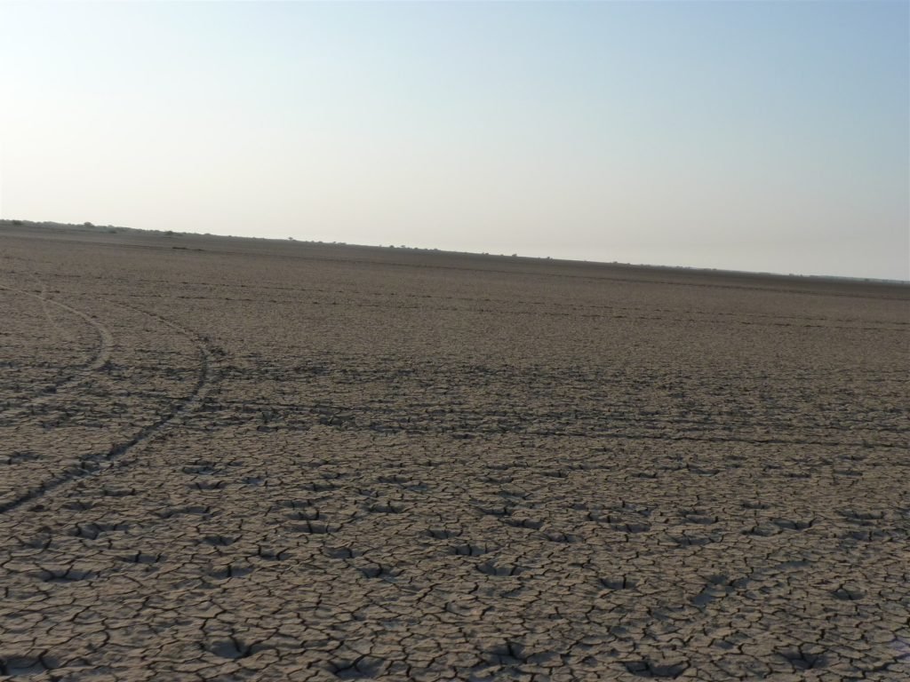 Hero, Gujarat