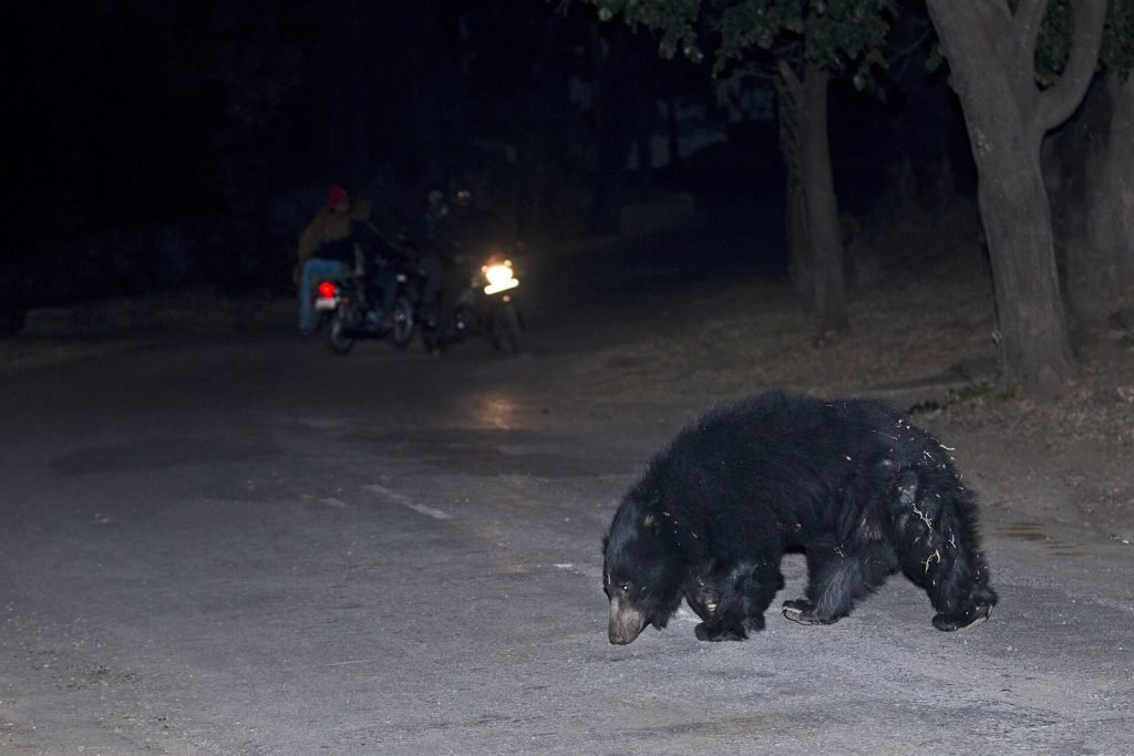 Hero, Gujarat