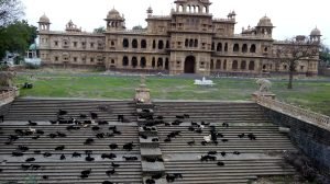 Hero, Gujarat