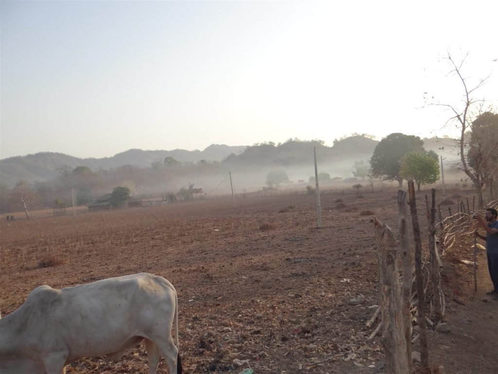 Hero, Gujarat