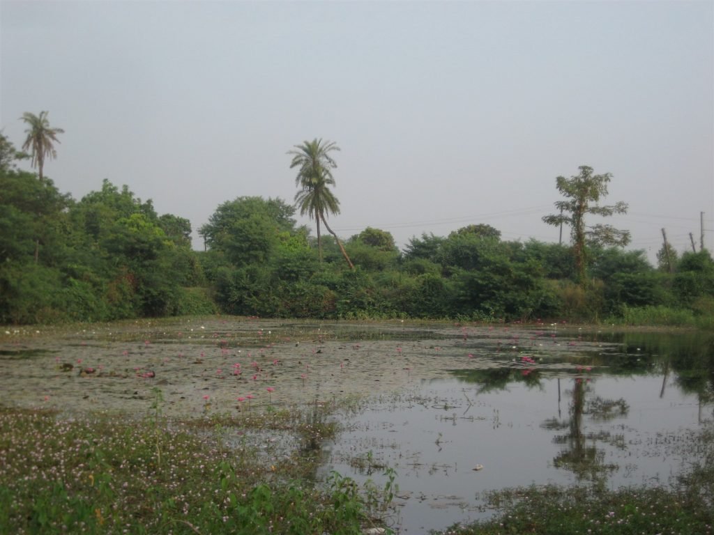 Hero, Gujarat
