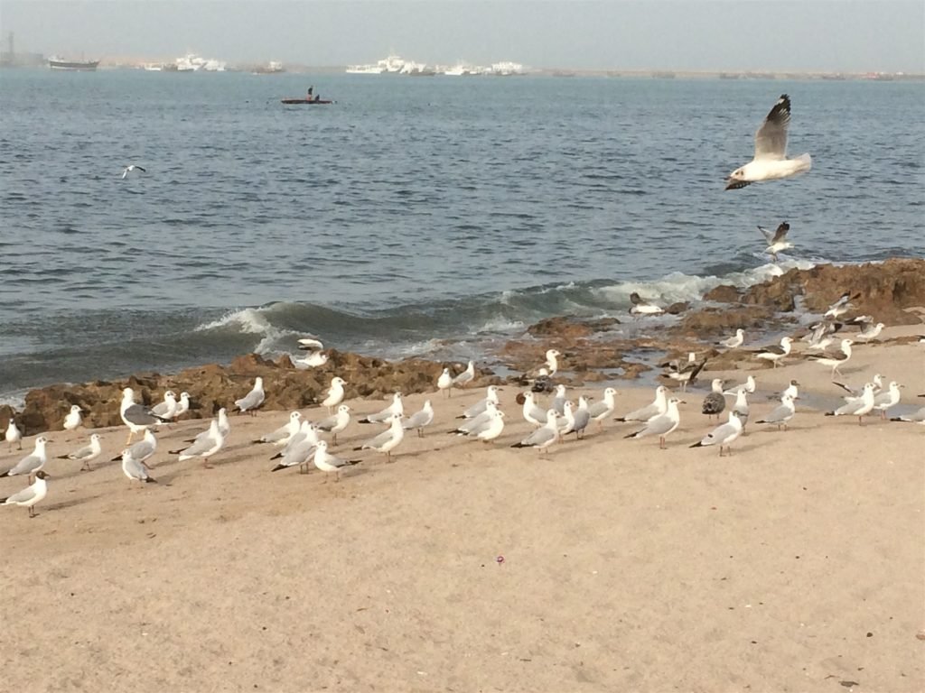 Hero, Gujarat