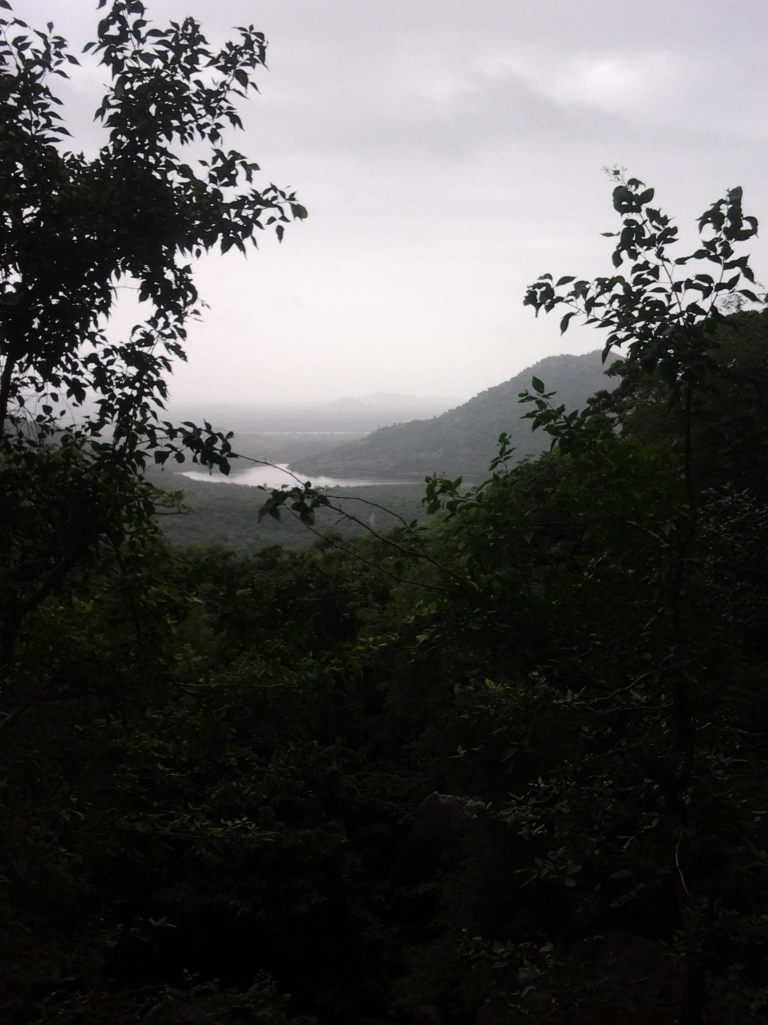 Jessore Sanctuary