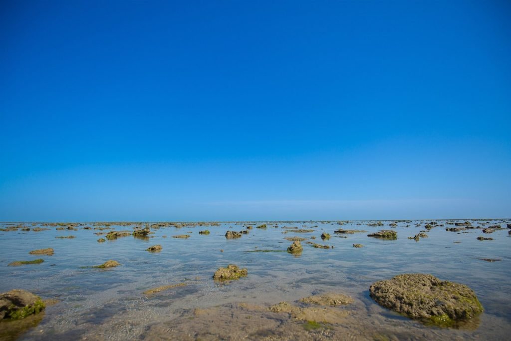 Hero2, Gujarat