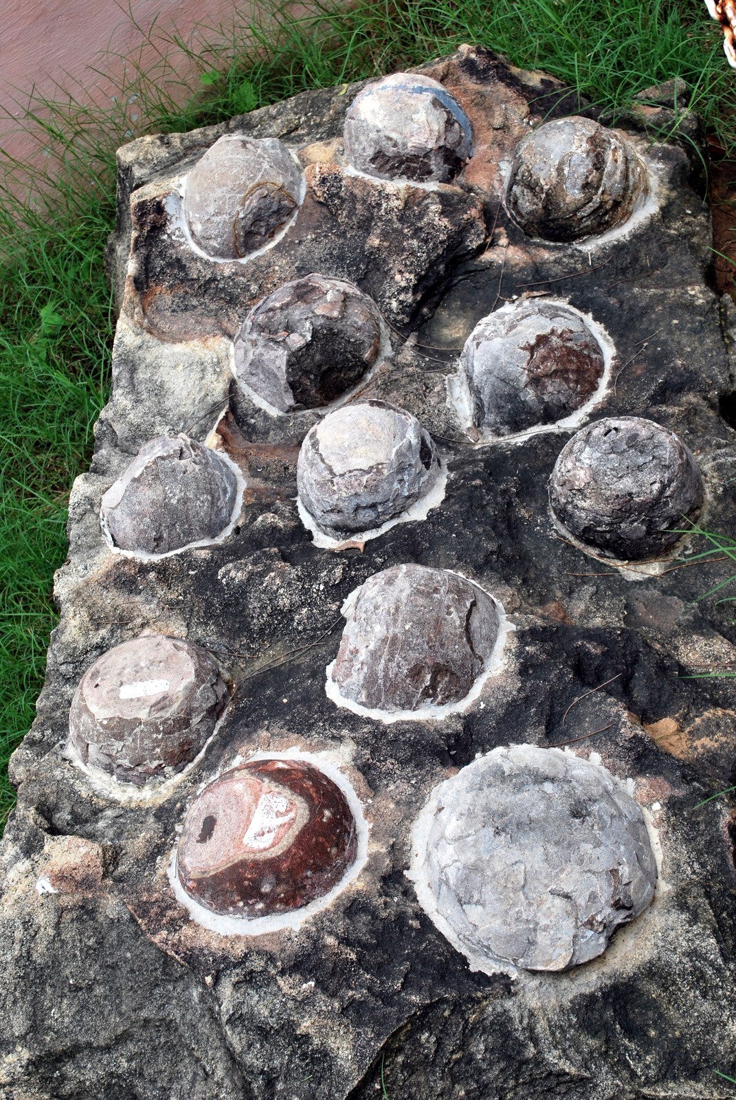 Fossil eggs