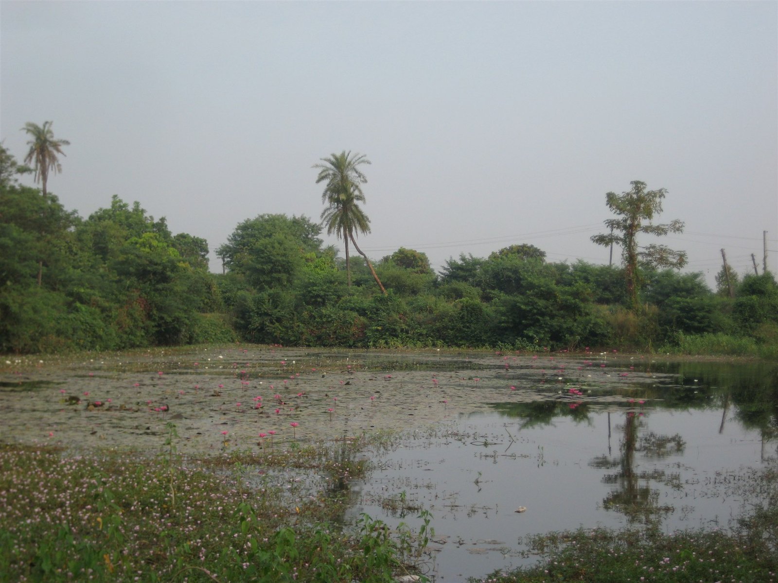 Gandevi