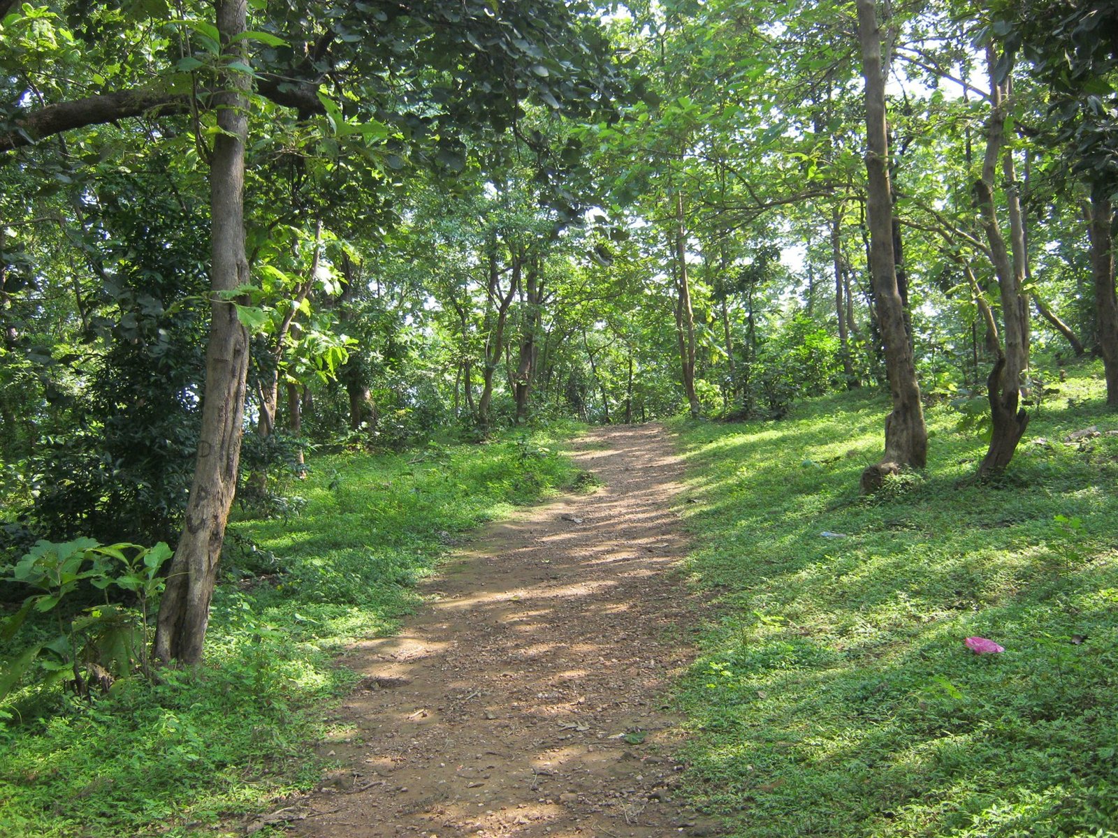 Jambughoda