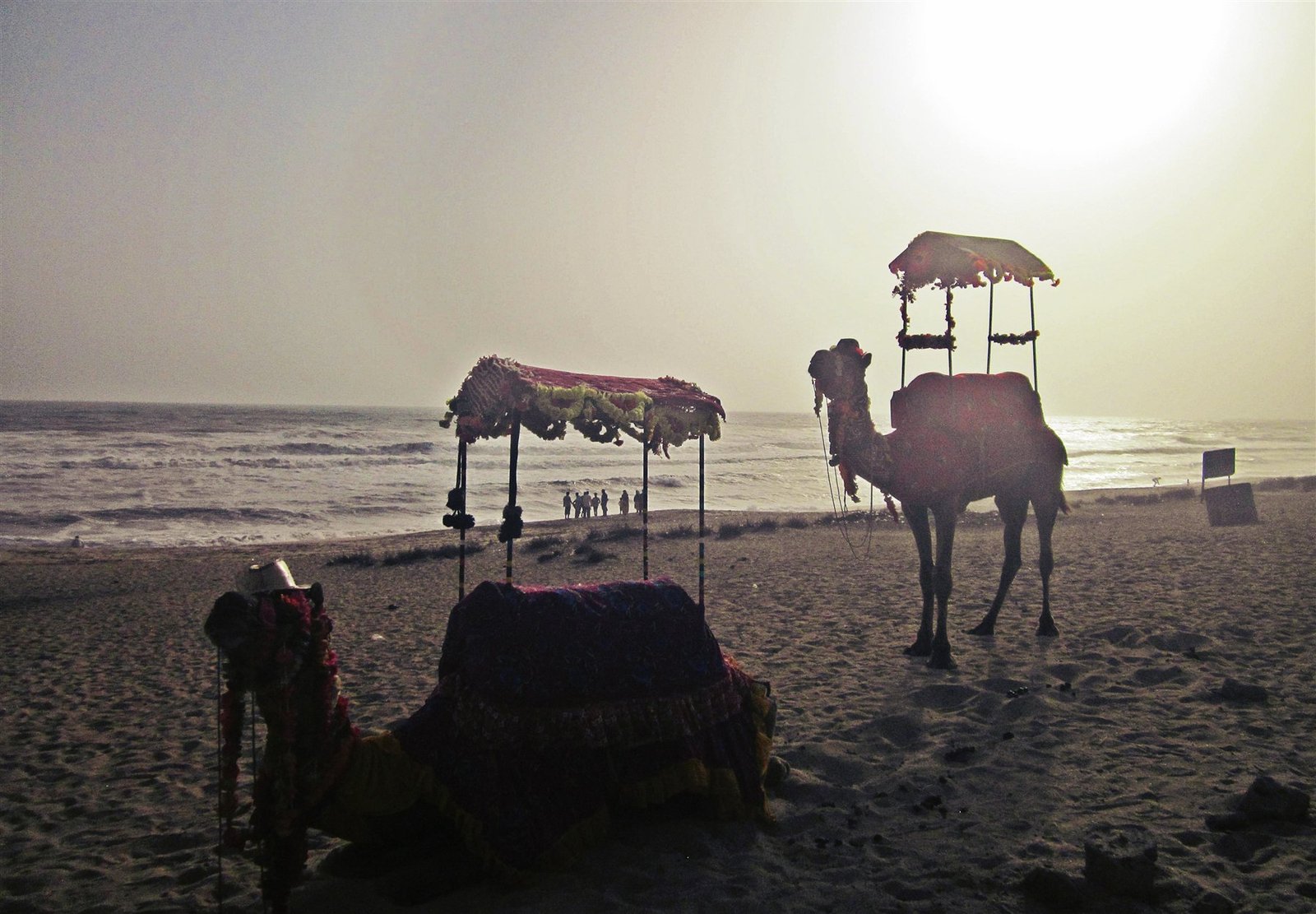 Golden sands