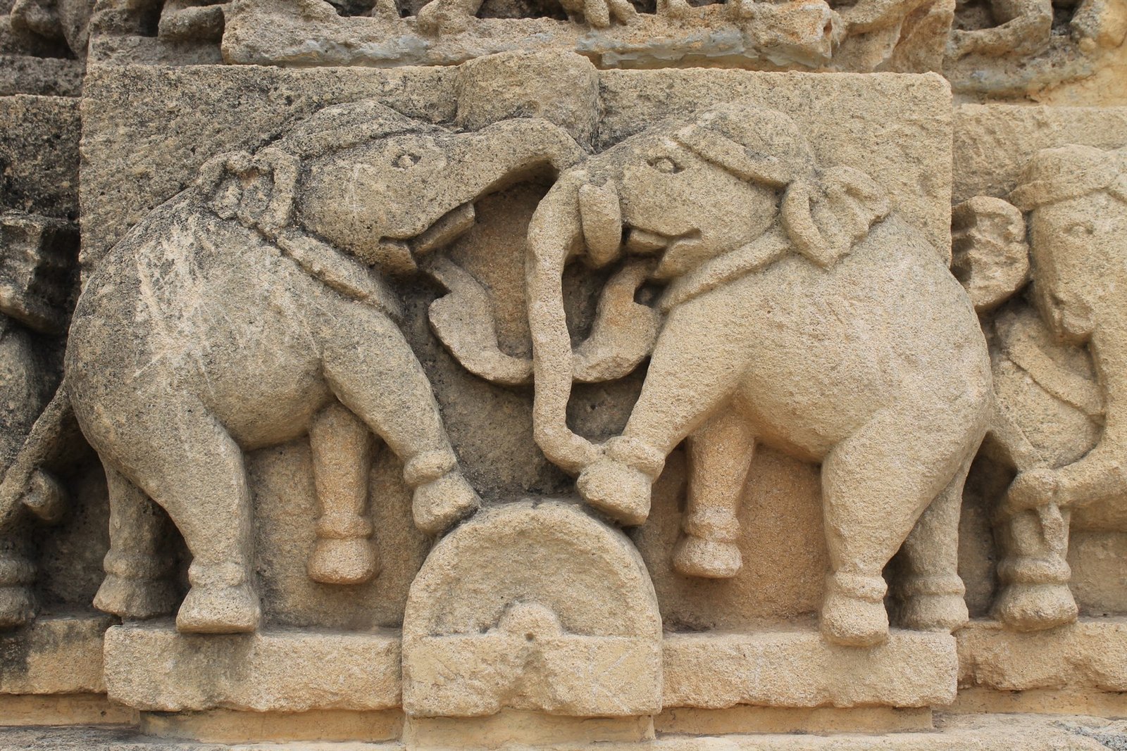 Elephants