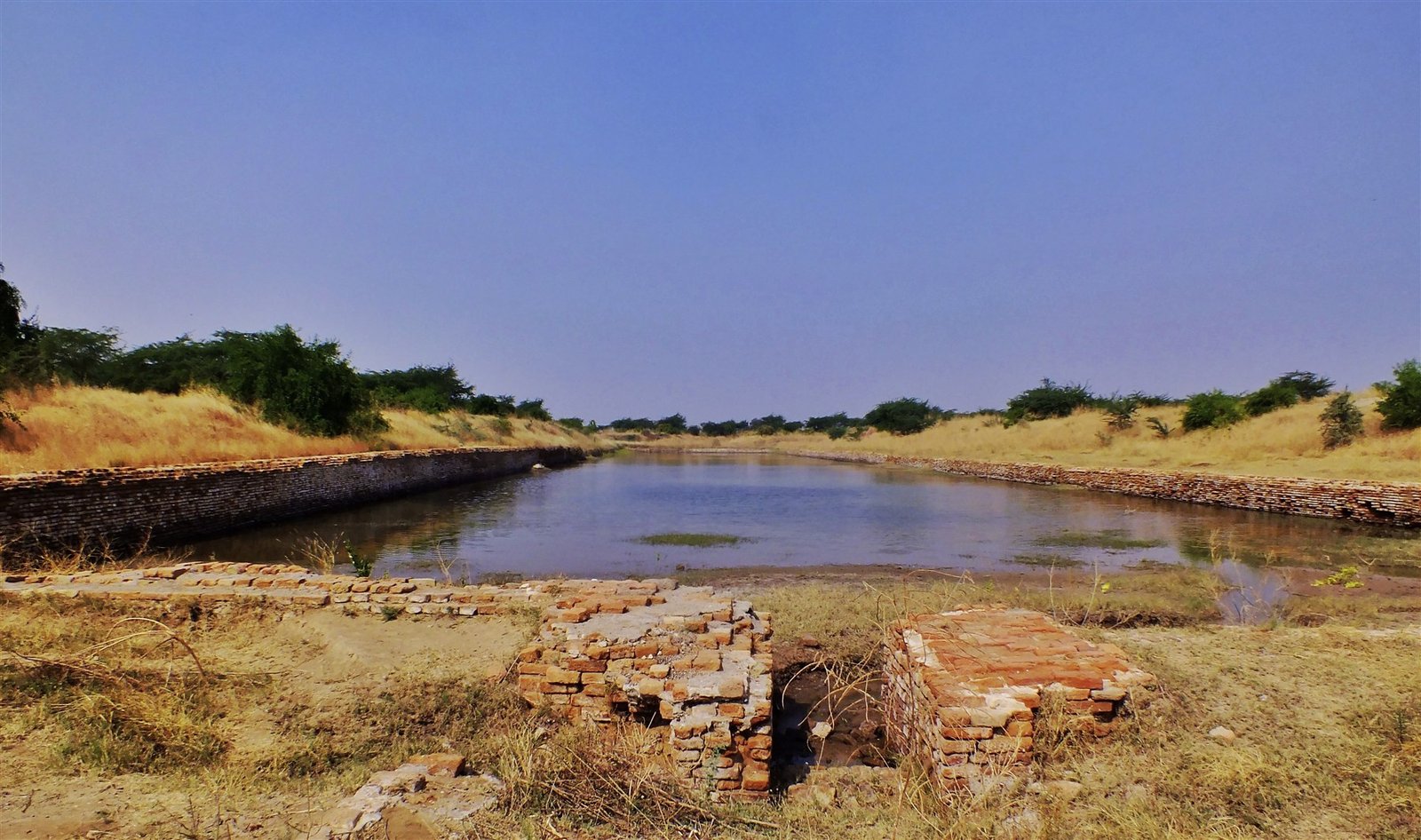 Dockside remains