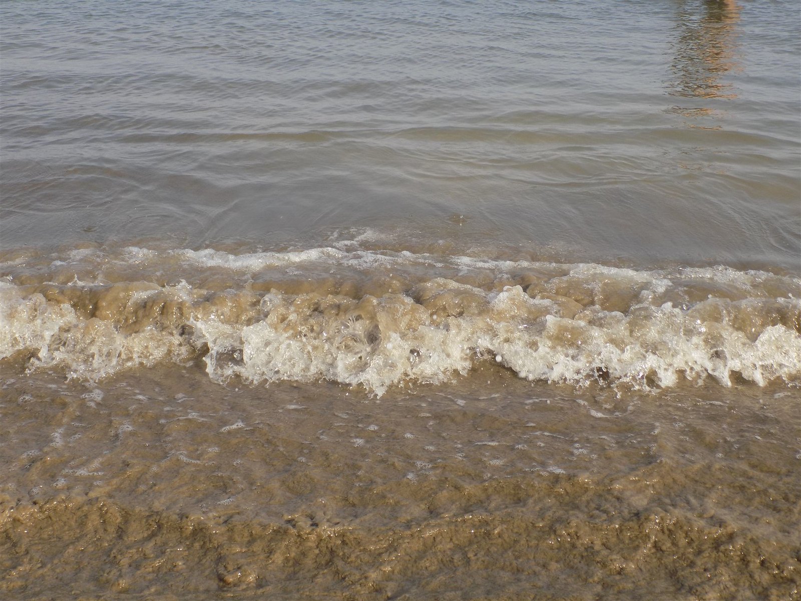 Open sands