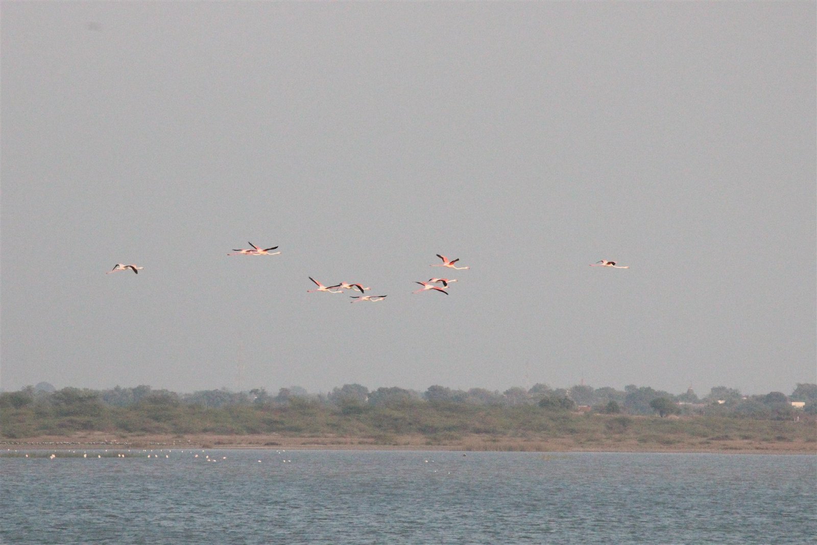 Lakes and mangroves
