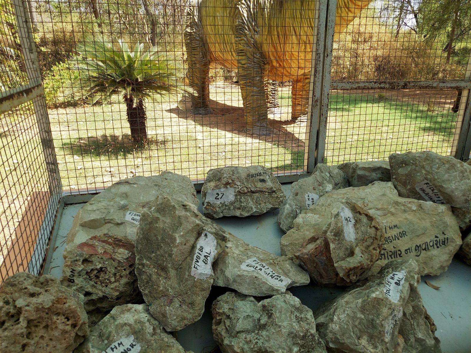 Fossils