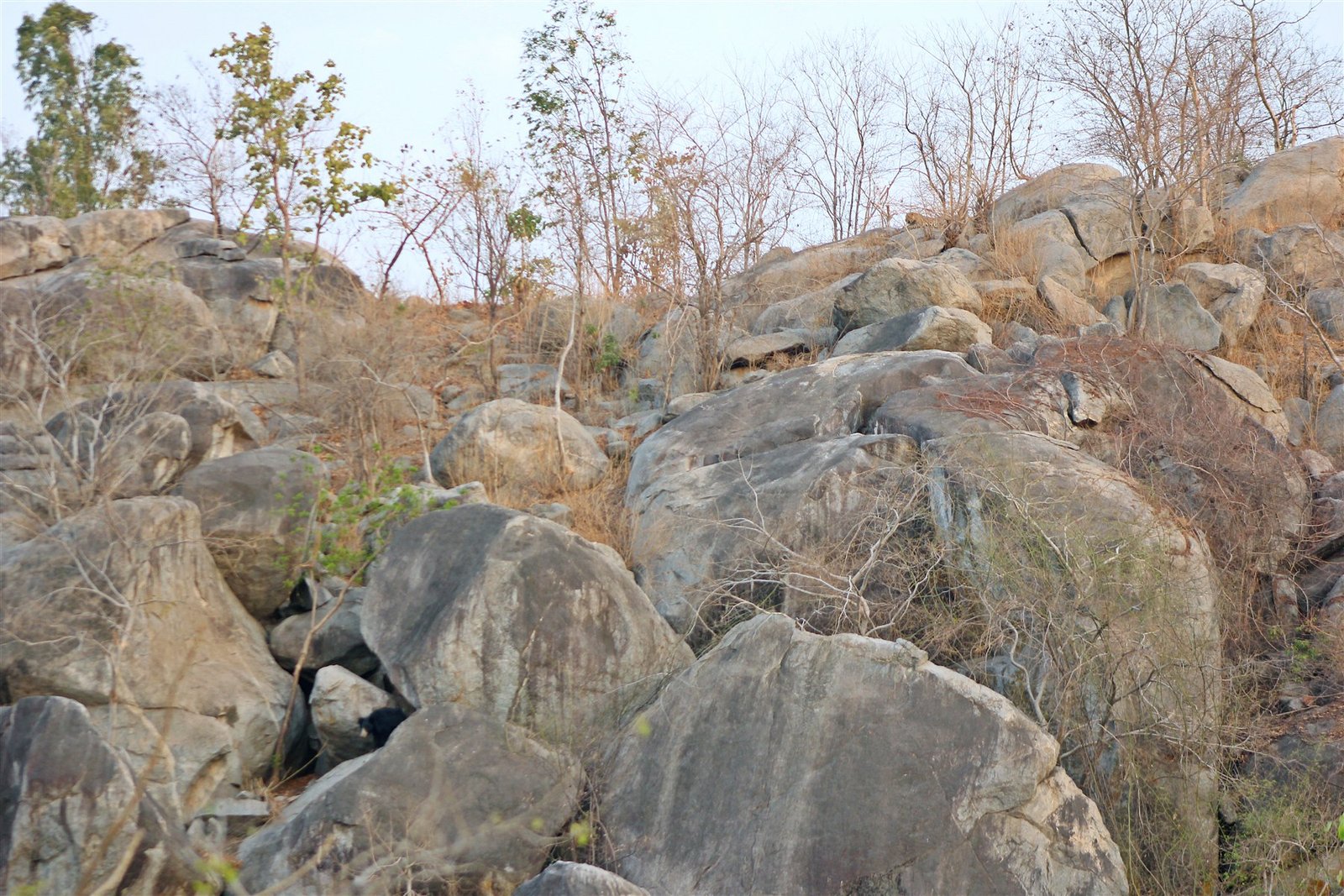 Boulder slopes