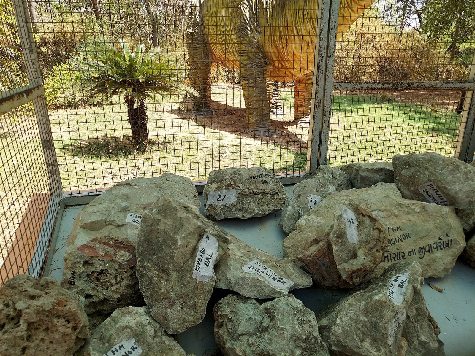 Jurassic Gujarat