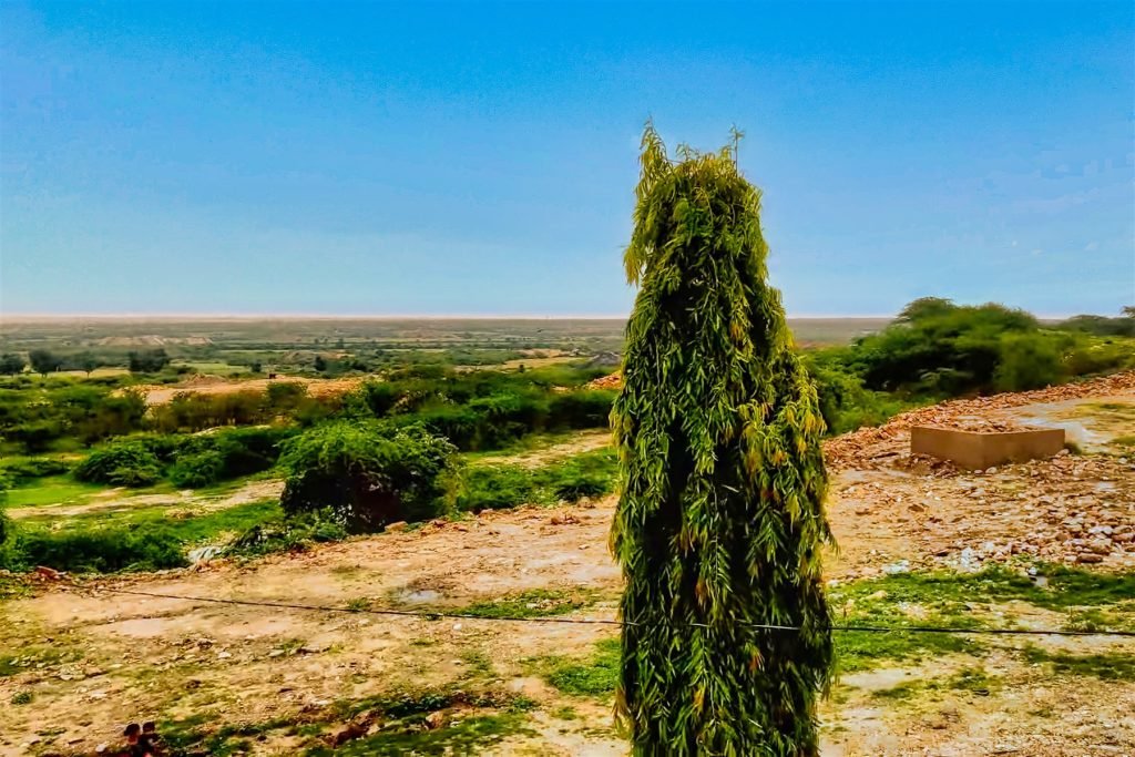 Hero, Gujarat