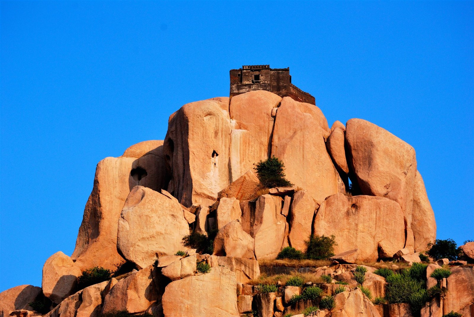 The palace