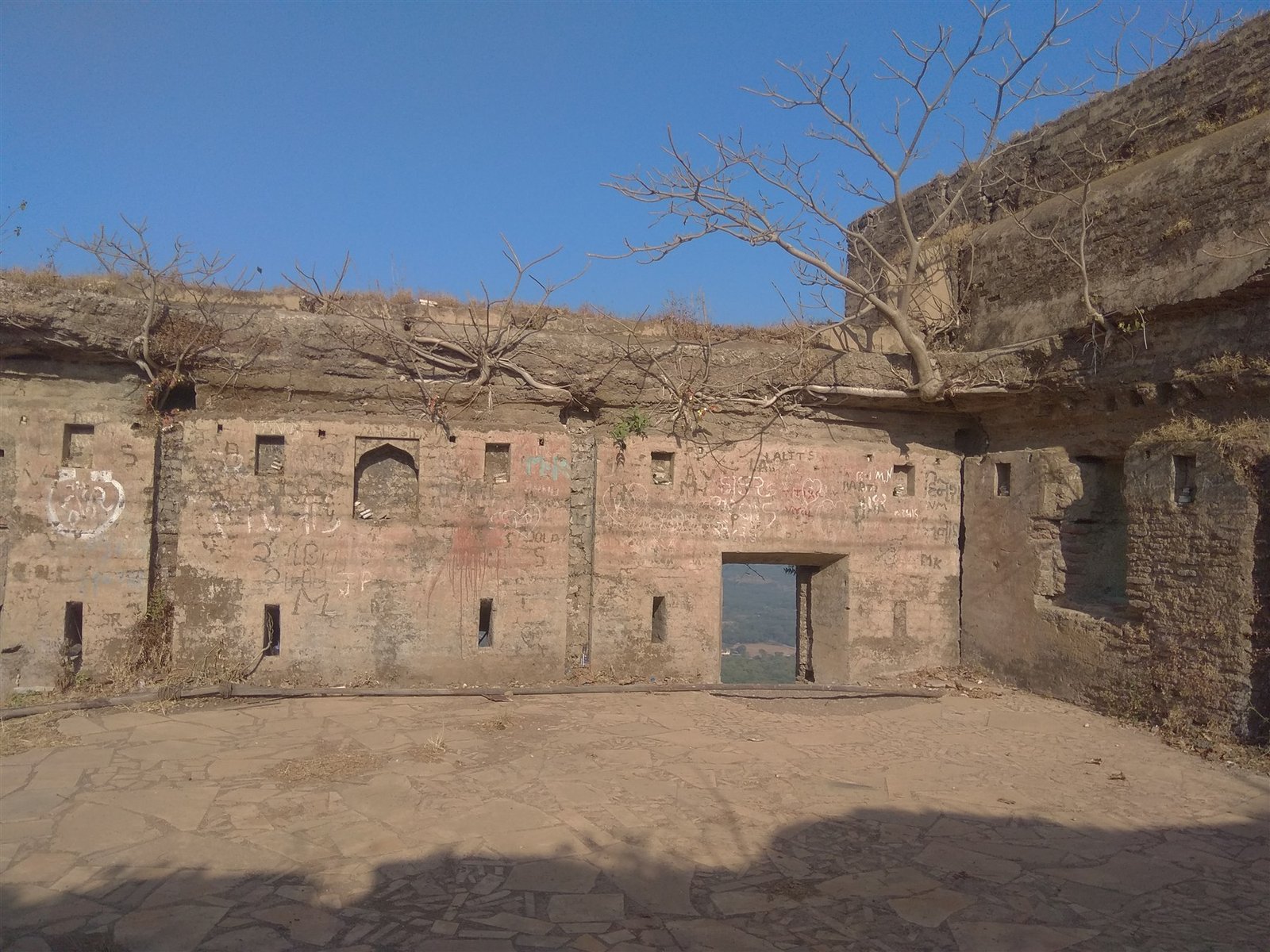 Parnera