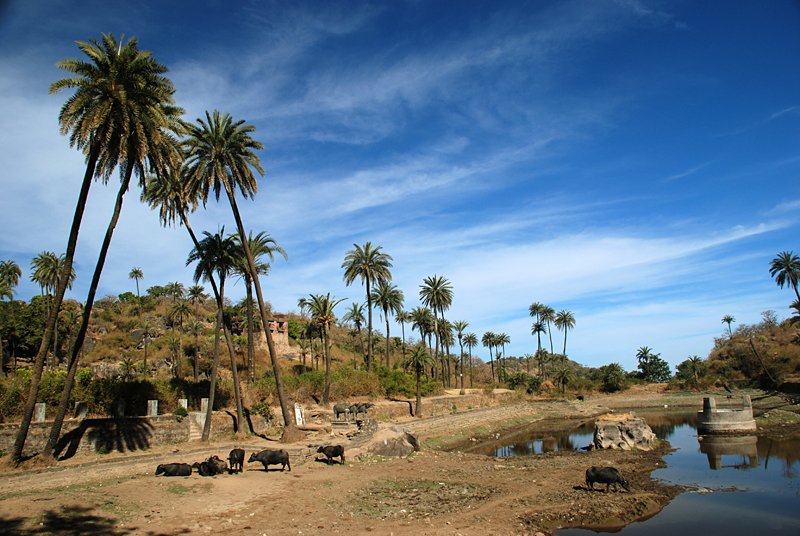 Achalgarh Fort — Mount Abu