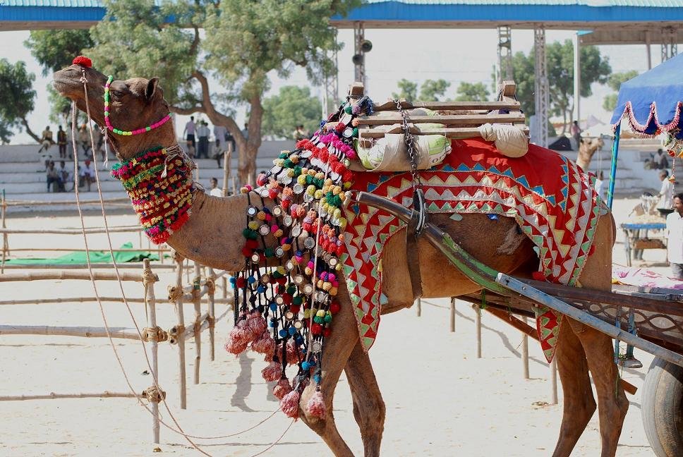 Pushkar Lake — Pushkar