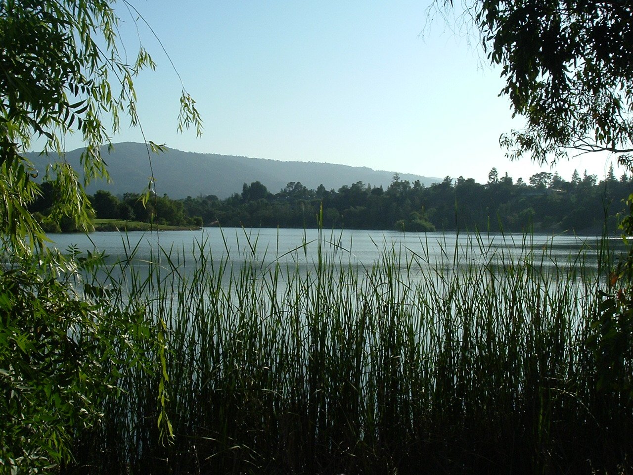 Vasona Lion Safari — Silvassa