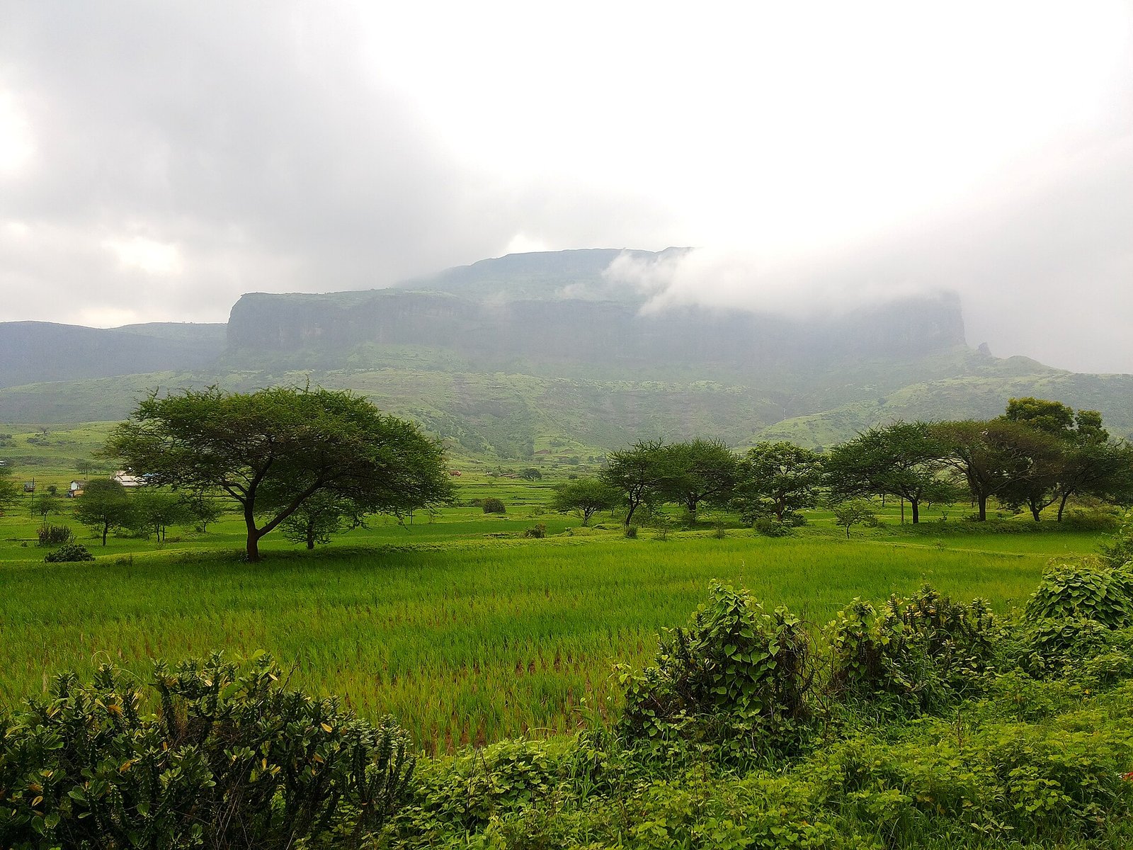 Anjaneri — Trimbakeshwar